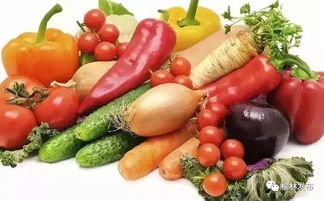 靖邊蔬菜節(jié)即將來襲 花卉主題活動全知道