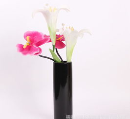 現代簡約陶瓷工藝品花瓶 價格、廠家與搭配指南