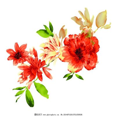 自然之筆 位圖風(fēng)格下的寫意花卉藝術(shù)與免費(fèi)素材應(yīng)用