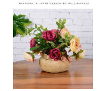 探秘花卉產品庫 從傳統審美到科技創新的綠色世界